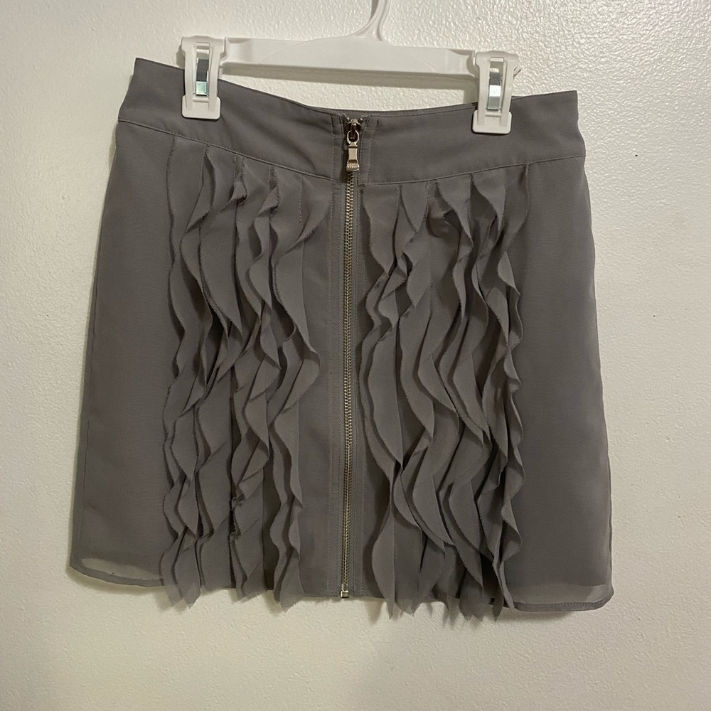 NWT Ted Baker skirt